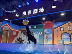 -重庆欢乐海底世界