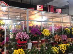 -无锡文化工艺品市场(槐古路店)