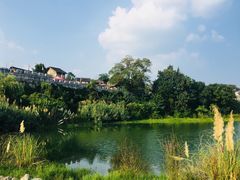 -西南交通大学(九里校区)