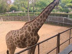 -石家庄市动物园