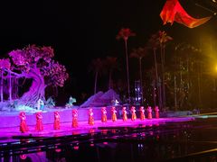 -三亚红色娘子军演艺公园景区