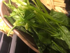 -食潮汕头鲜牛馆(望京保利店)
