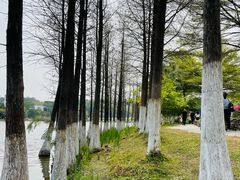 -东莞植物园