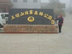 -王顺山国家森林公园