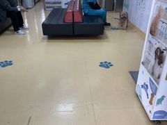 -瑞派天宁宠物医院·猫科·异宠中心