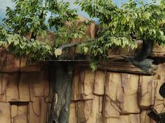 -泉州海丝野生动物世界