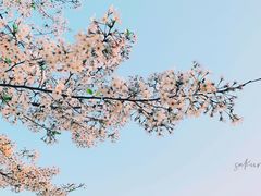 -白塘生态植物园