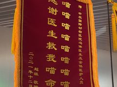 -中农国际动物医院24小时·猫科·骨科·急重症中心