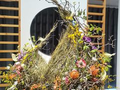 -石家庄市植物园