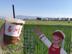 -啊马英豌豆粉