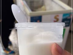 -洪馨椰子