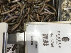 -得尔乐大酒店(南塘店)