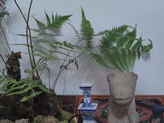 -道南書院·私房菜·早午茶·茶馆