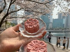 -珈境湖畔餐厅·湖北菜·江浙菜•樱花季(西北湖店)