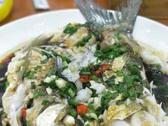 -全乐鱼馆·淳牌有机鱼直营店