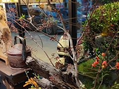 -106餐厅北京菜.烤鸭(百子湾店)