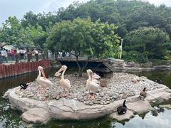 -大连老虎滩海洋公园
