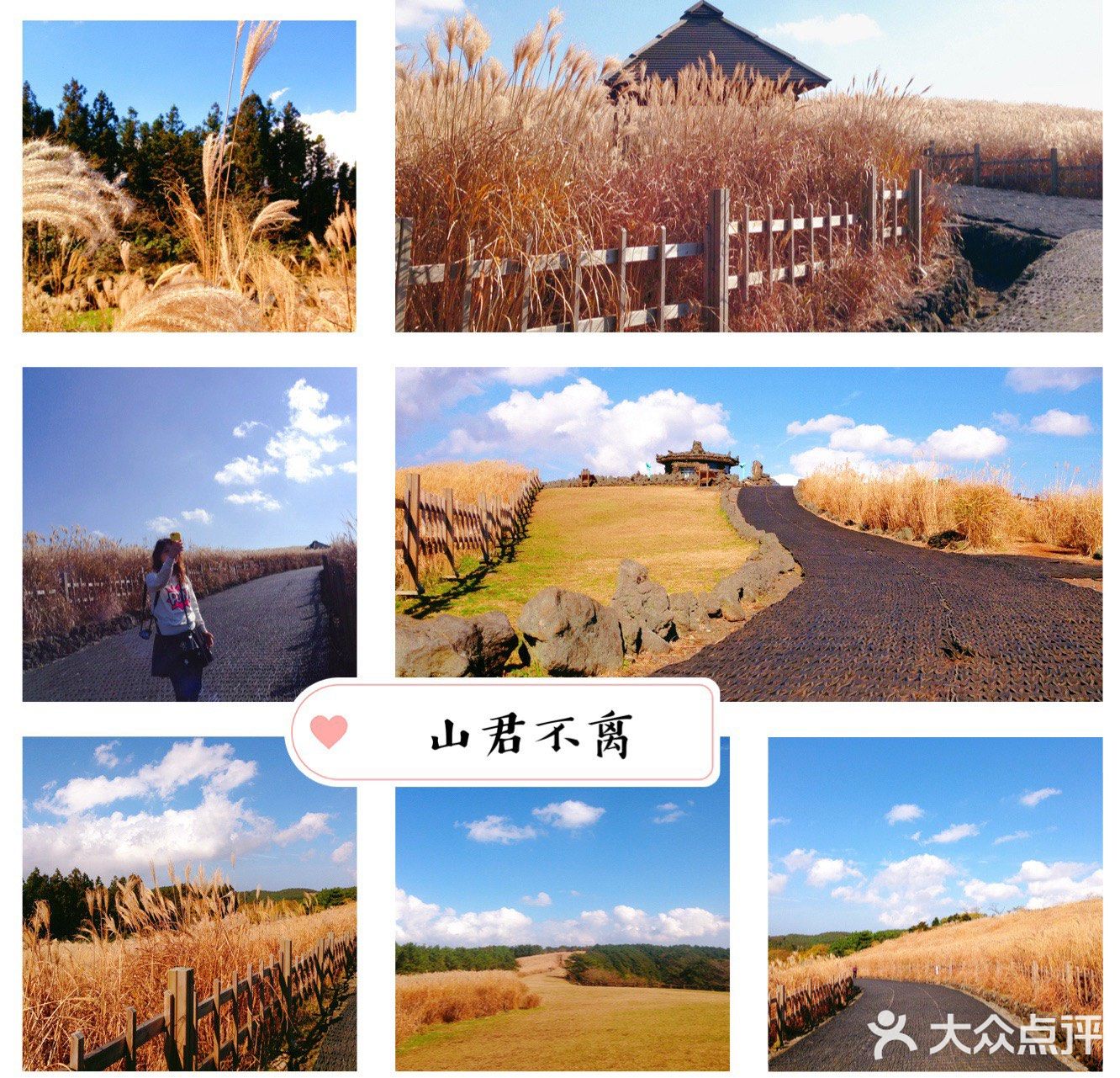 济州岛不随大流（景点+探店）攻略