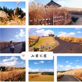 济州岛不随大流（景点+探店）攻略