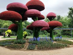 -沈阳植物园