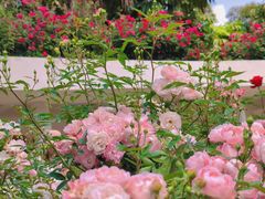 -人民公园(罗湖区)