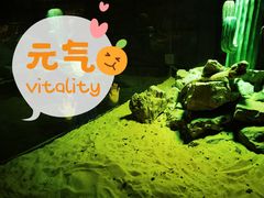 -海合安武汉极地海洋公园