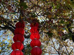 -灵顺寺