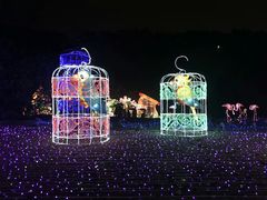 -飞凤山奥体公园