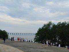 -宝安西湾红树林湿地公园