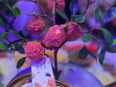 -长安大牌档之西安博物院文化餐厅(中贸店)