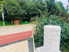 -洛龙公园