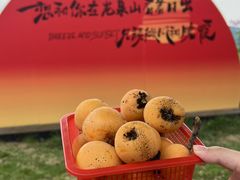 -桃源山庄·水蜜桃采摘·柴火鸡·烧烤团建(龙泉山店)