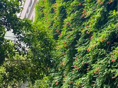 -浙江大学医学院附属第二医院(解放路院区)