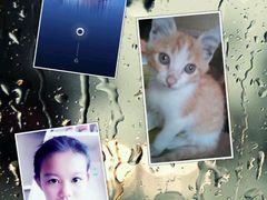 android_upload_pic-临沂华盛江泉城大酒店