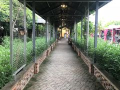 -锦至私房菜(长乐店)