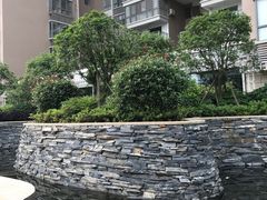 -星光花园影城(衡成天虹广场店)