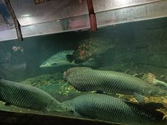 -嘉兴海底世界