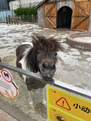 -造物庄园 萌宠纪(苏州湾歌林公园店)