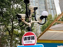 -陆家嘴中心绿地