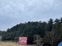 -四明山国家森林公园