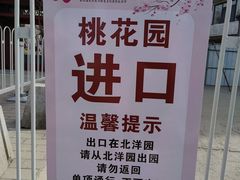-桃花堤公园