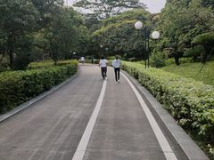 -荔香公园