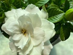 -大哥大烧鸽子海鲜串吧(沈辽路店)