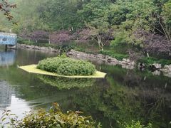-重庆彩云湖湿地公园