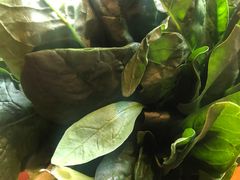 -捞王猪肚鸡火锅(昆山店)