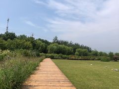 -门城湖公园