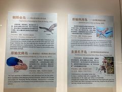 -辽宁古生物博物馆