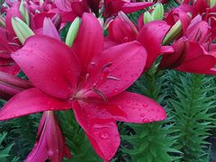 -长春公园(普阳街道)