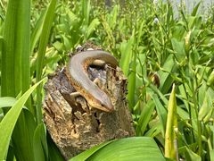 -龙川湾千岛湖国际垂钓中心