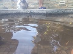-碧水湾温泉